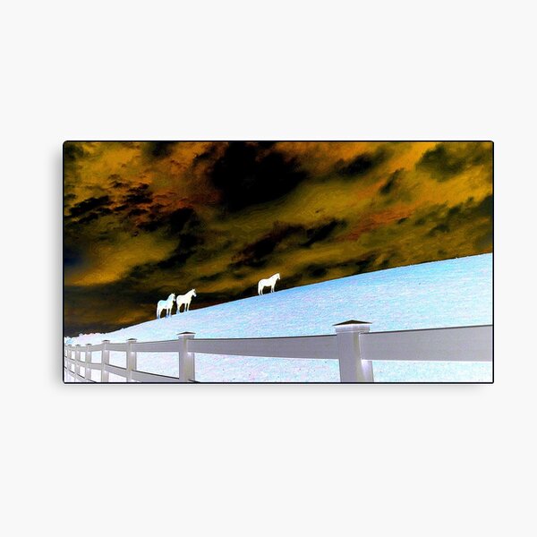 Winter Night Out Canvas Print