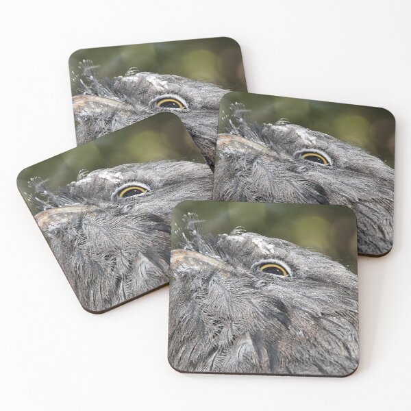 Item preview, Tawny Frogmouth Resting designed and sold by Carole-Anne.