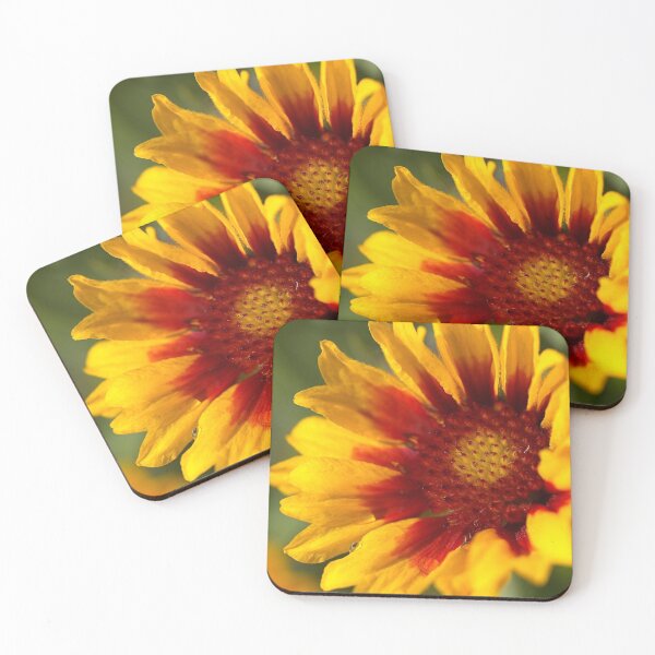 Item preview, Blanket flower Bright Winter  designed and sold by Joy Watson - Natural Light Photography .