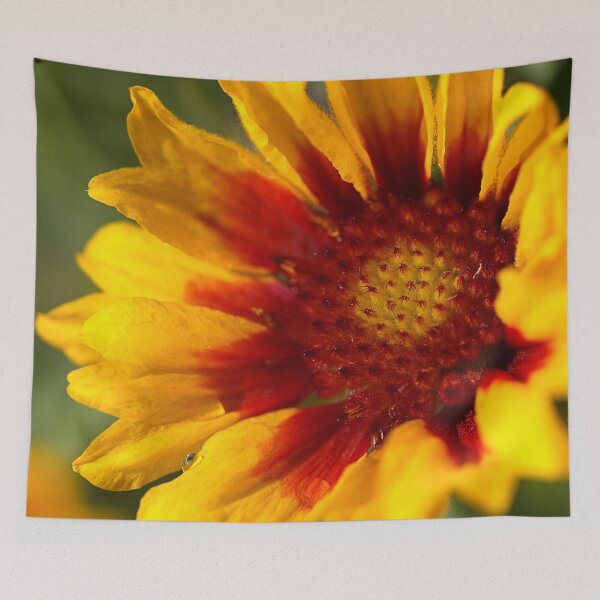 Item preview, Blanket flower Bright Winter  designed and sold by Joy Watson - Natural Light Photography .