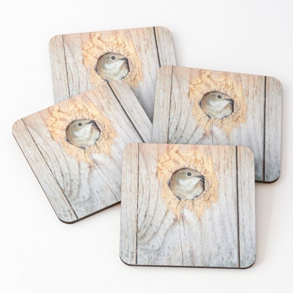 Item preview, Mi casa mis reglas. Papamoscas europea designed and sold by Jouko Lehto Photography.
