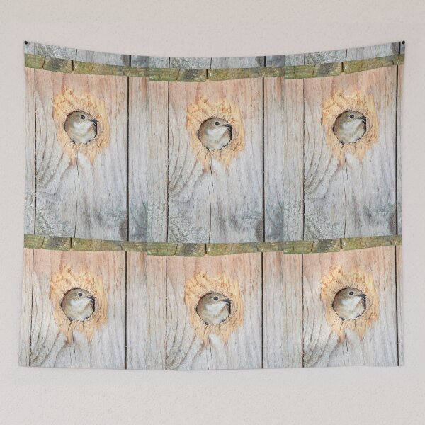 Item preview, Mi casa mis reglas. Papamoscas europea designed and sold by Jouko Lehto Photography.