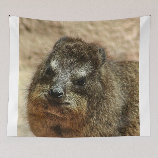 Item preview, Close up of rock hyrax designed and sold by KcsArt87.