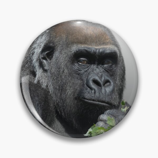 Item preview, Gorilla Asante designed and sold by rawshutterbug.