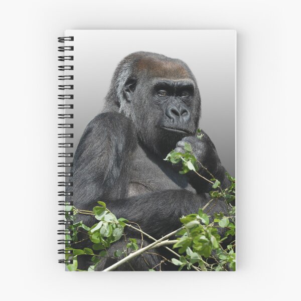 Item preview, Gorilla Asante designed and sold by rawshutterbug.