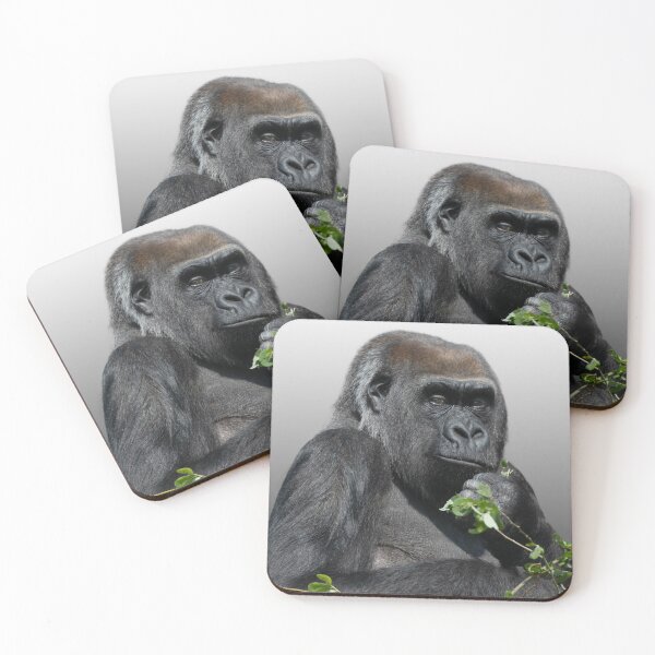 Item preview, Gorilla Asante designed and sold by rawshutterbug.