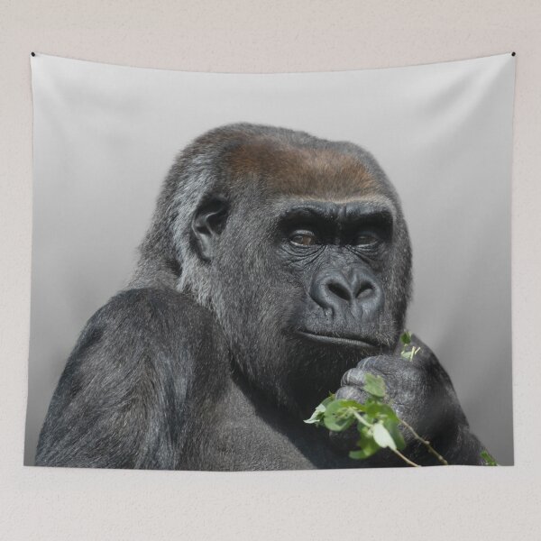 Item preview, Gorilla Asante designed and sold by rawshutterbug.