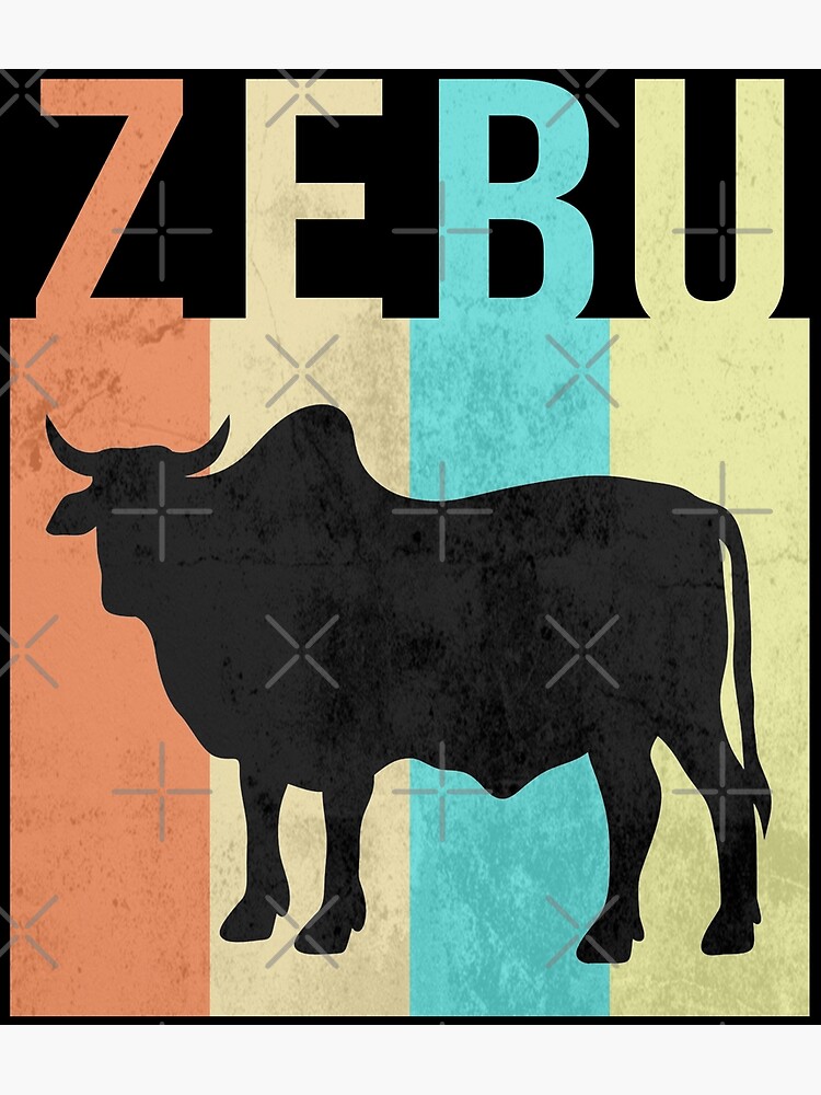 "Zebu Vintage Classic" Art Print by frigamribe88 Redbubble