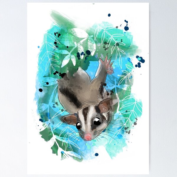 Item preview, Sugar glider in the leaves designed and sold by Fynnillustrates.