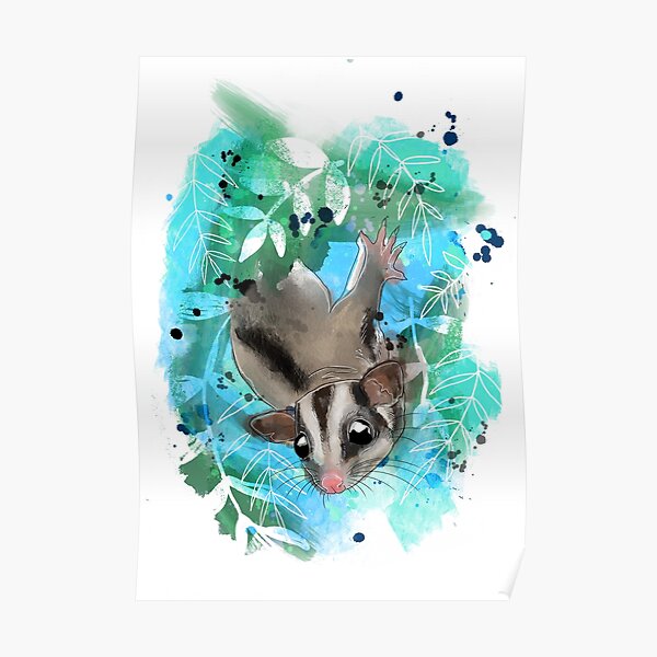 Sugar glider in the leaves Poster