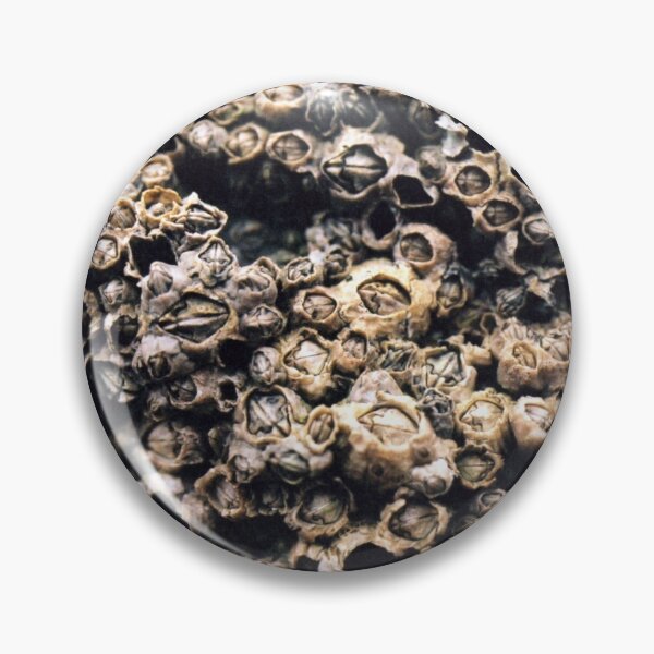 Item preview, Barnacles designed and sold by rfmdesigns.