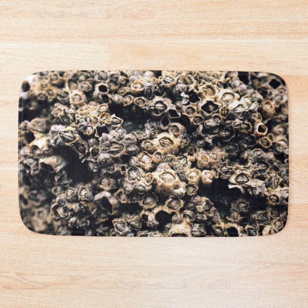 Item preview, Barnacles designed and sold by rfmdesigns.