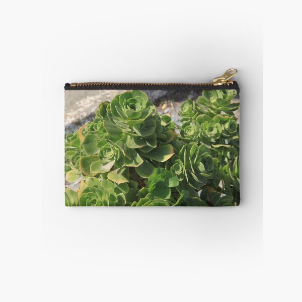 Item preview.