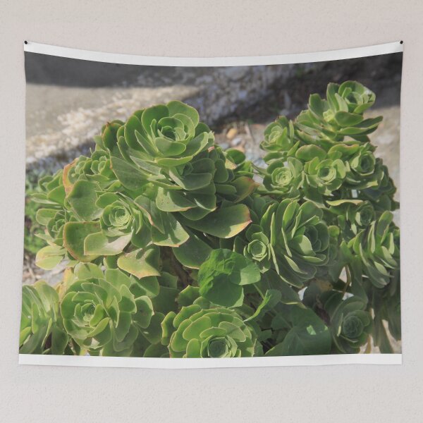 Item preview.