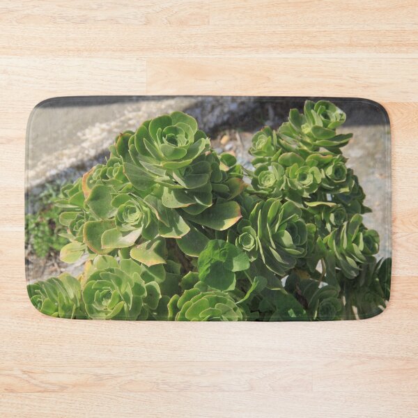 Item preview.