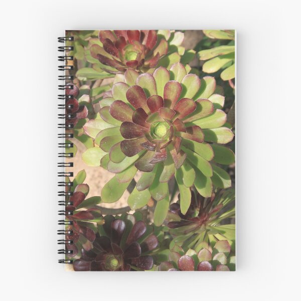 Item preview, Green succulents cabbage indoor plants	 designed and sold by EstelleRossetti.