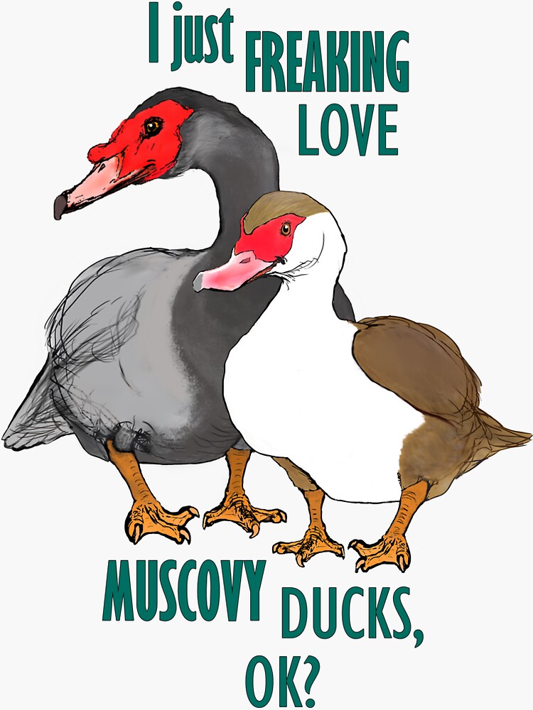 I Just Freaking Love Muscovy Ducks Sticker For Sale By Ningaui