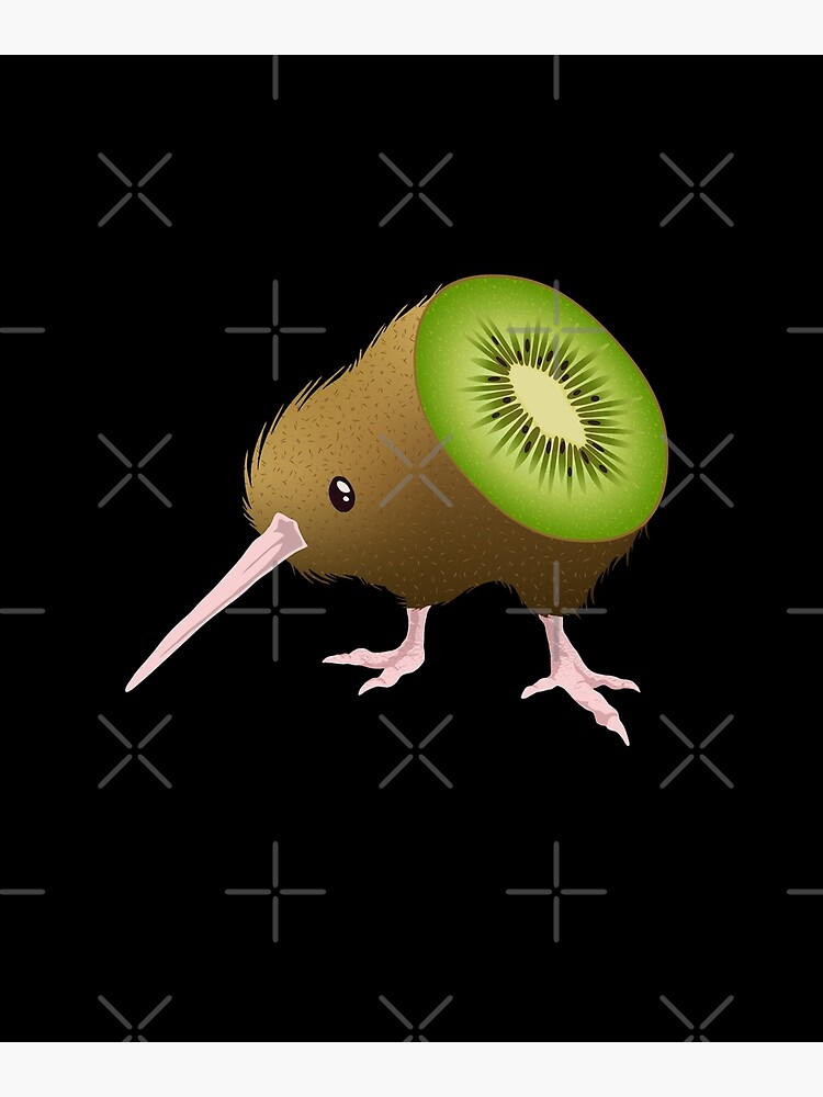 mailbird vs kiwi