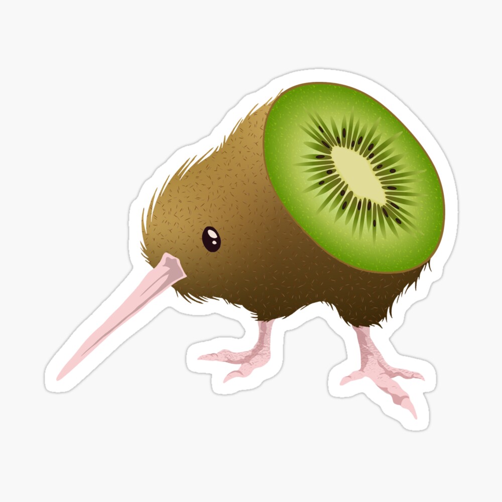 Kiwi Frucht Vs Vogel Funny Design Poster Von Articadesign Redbubble