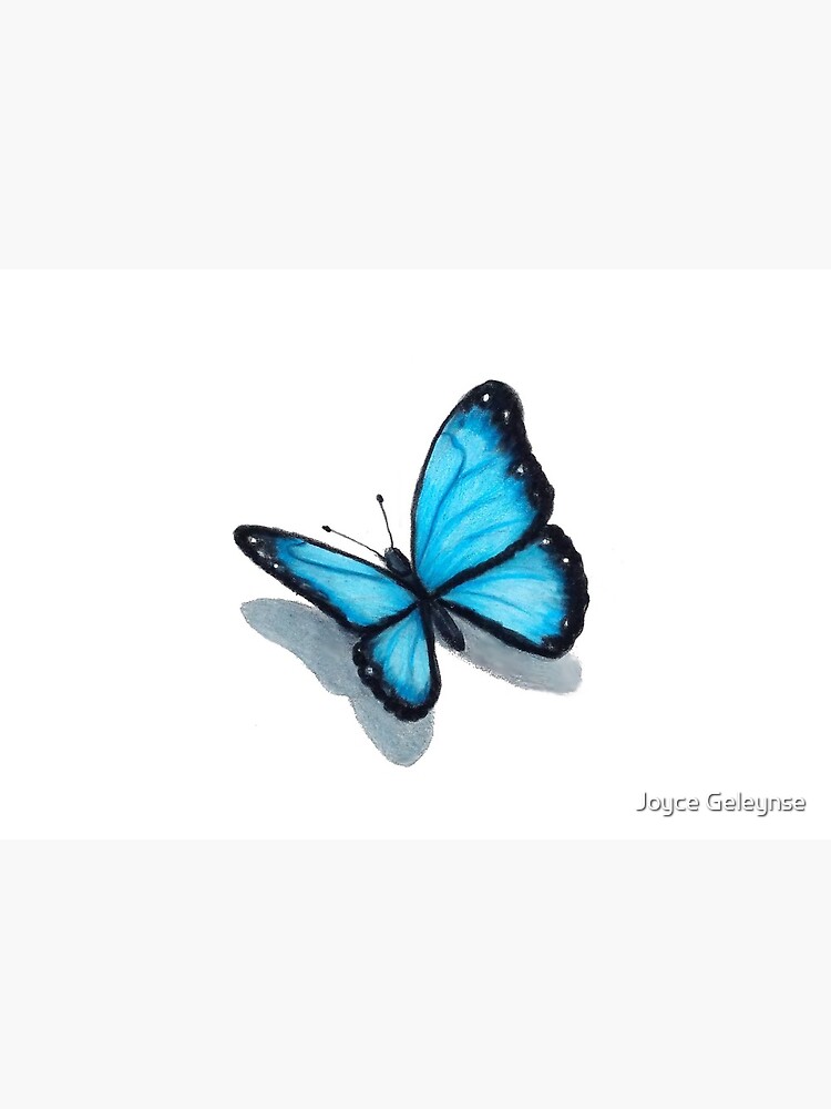 Beautiful Blue Butterfly Isolated White Background Realistic Hand Drawing  Illustration Stock Illustration by ©anya.pic-o-matic.ru #204989756
