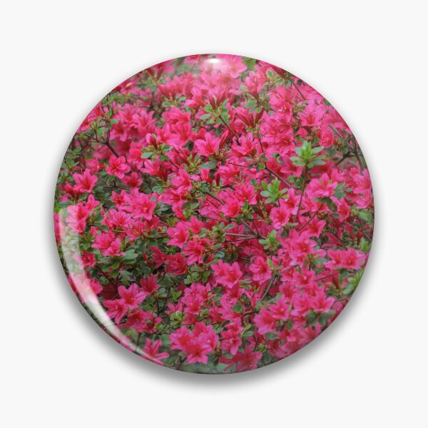 Artikelvorschau, Rosa Party entworfen und verkauft von heidipics.