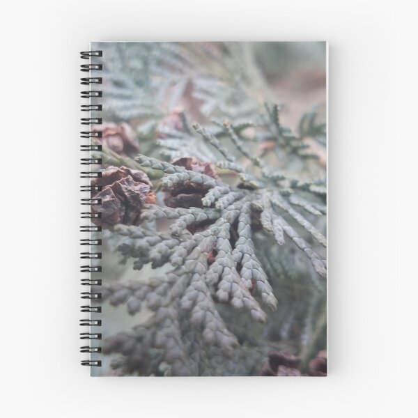 Item preview, Fotografía de primer plano de árbol de pino designed and sold by Elvis Berisa.