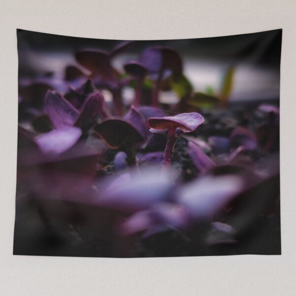 Item preview, Photography Basil violet - Close up designed and sold by Elvis Berisa.