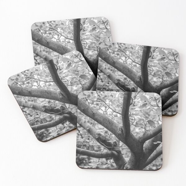 Item preview, A forest designed and sold by kifaya.