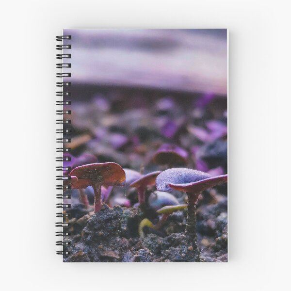 Item preview, Albahaca en la naturaleza designed and sold by Elvis Berisa.
