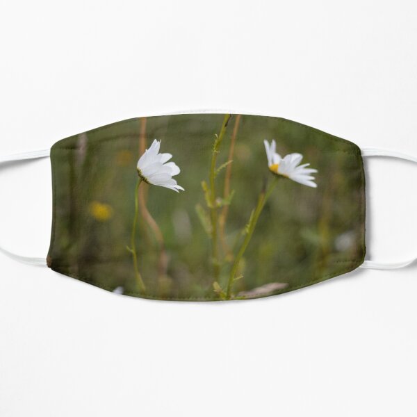 White daisies on a green blurred background Mask