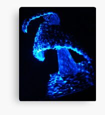 Sculpture Canvas Print
