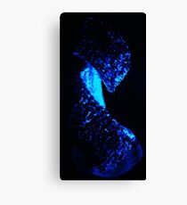 Sculpture Canvas Print