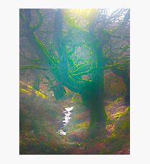 The Dingley Dell of Sugar Loaf Mountain Photographic Print