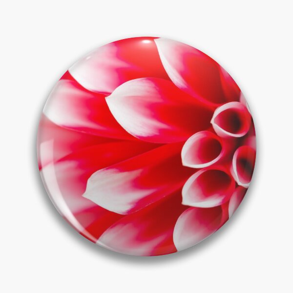 Artikelvorschau, Rote und weiße Dahlie-Blume entworfen und verkauft von heidipics.