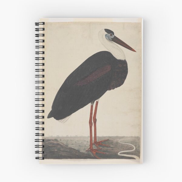 Item preview, Black Stork in a Landscape designed and sold by artichokes.