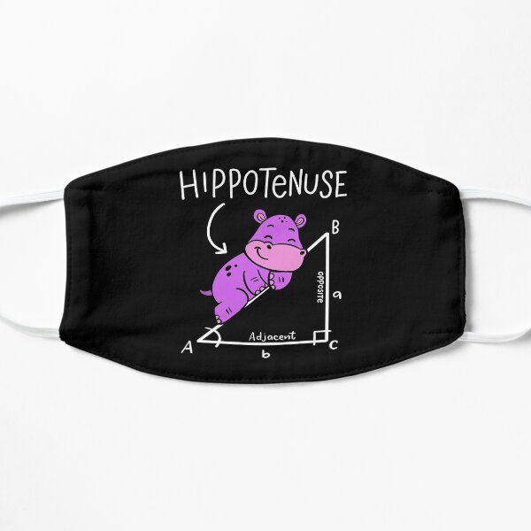 Hippotenuse Hypotenuse Triangle Geometry Math Flat Mask