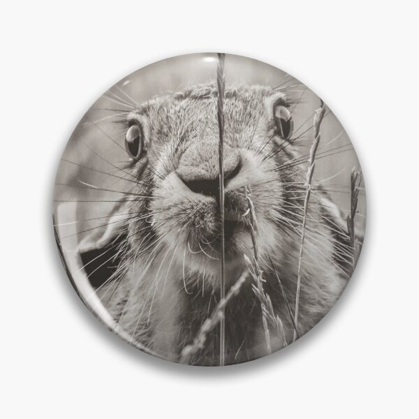 Item preview, Meadow Hare designed and sold by Nature Embraced  Photography By Natasha Weyers.