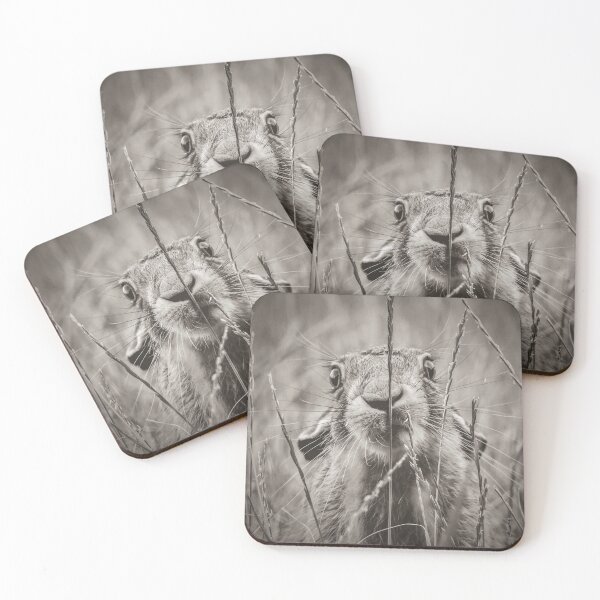 Item preview, Meadow Hare designed and sold by Nature Embraced  Photography By Natasha Weyers.