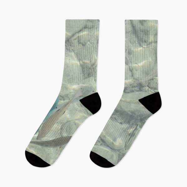 Item preview, Clear water with grey and blue fish II designed and sold by Artlajf.
