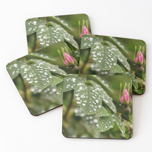Item preview, Beautiful close up Raindrops on leaves  designed and sold by HaleyRedshaw.