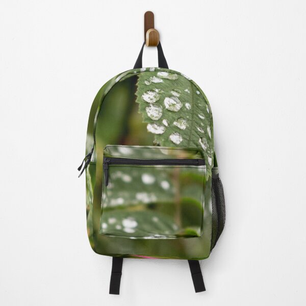 Item preview, Beautiful close up Raindrops on leaves  designed and sold by HaleyRedshaw.