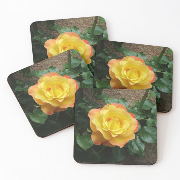 Item preview, Yellow climbing roses designed and sold by TreacleDesigns.