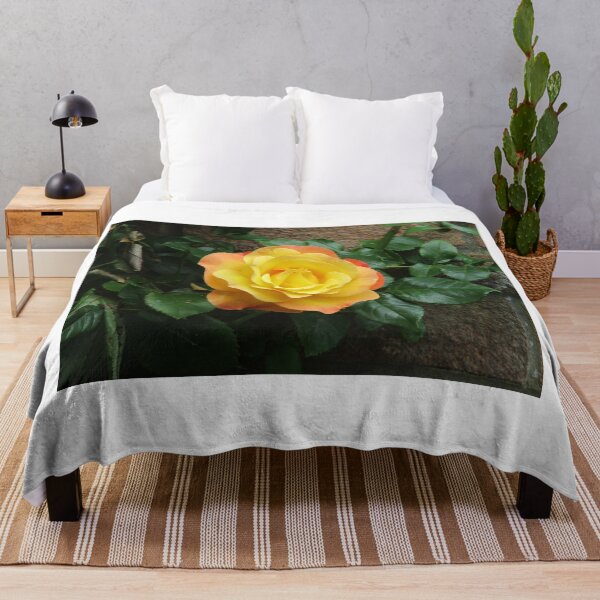 Item preview, Yellow climbing roses designed and sold by TreacleDesigns.