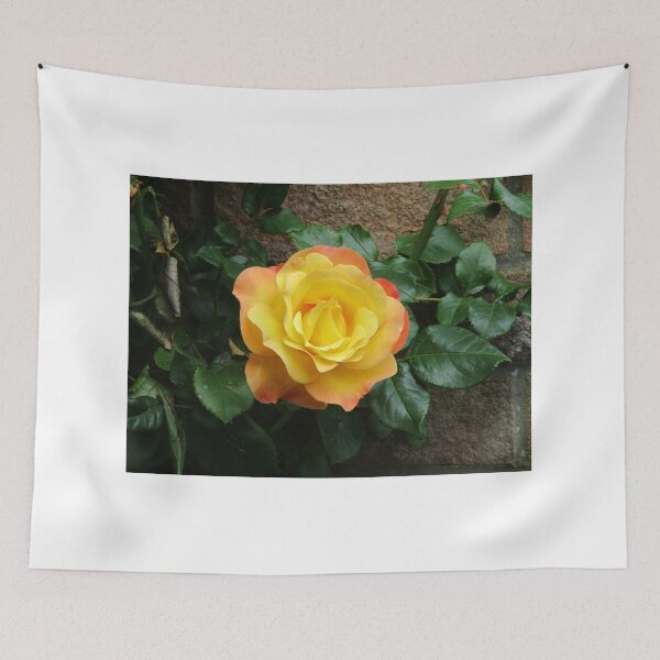Item preview, Yellow climbing roses designed and sold by TreacleDesigns.
