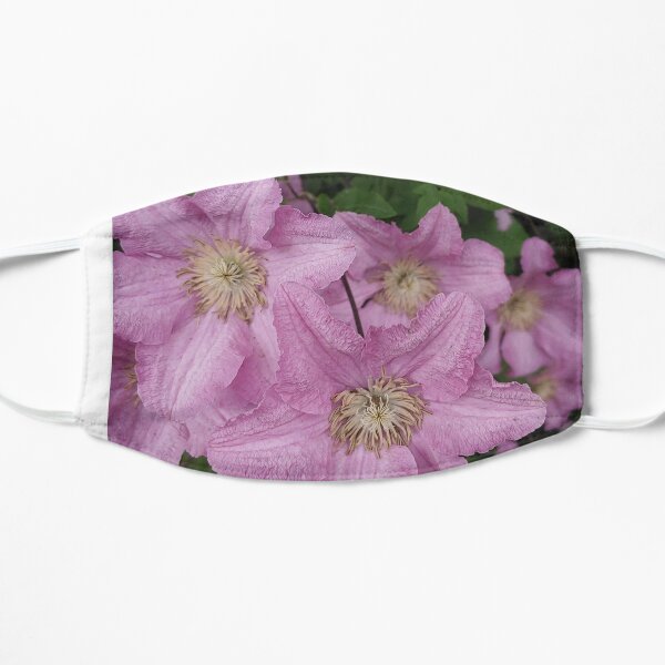 Clematis Mask