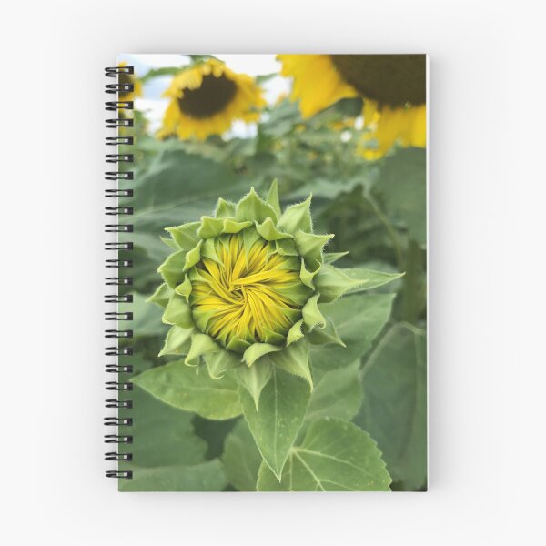 Item preview, Sunflower Waiting to Open designed and sold by Hope Breen.