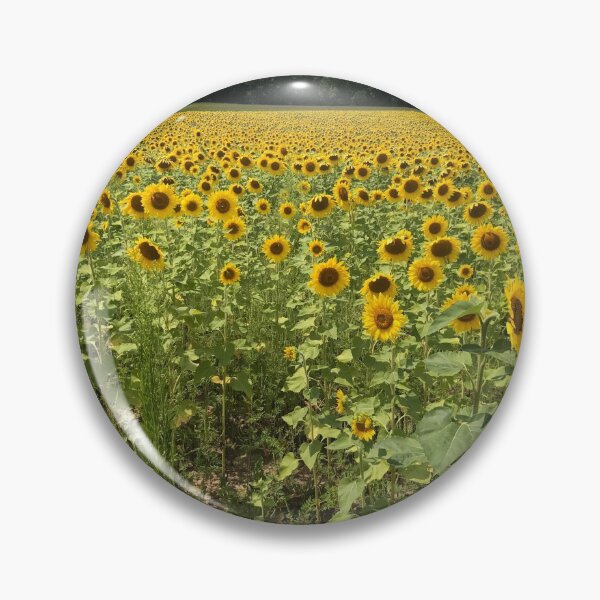 Item preview, Sunflower Fields designed and sold by Hope Breen.