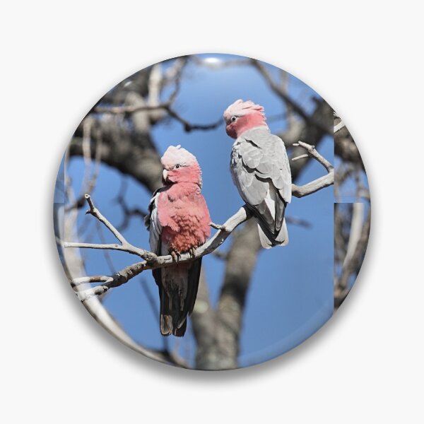 Item preview, Australian Galahs designed and sold by Carole-Anne.