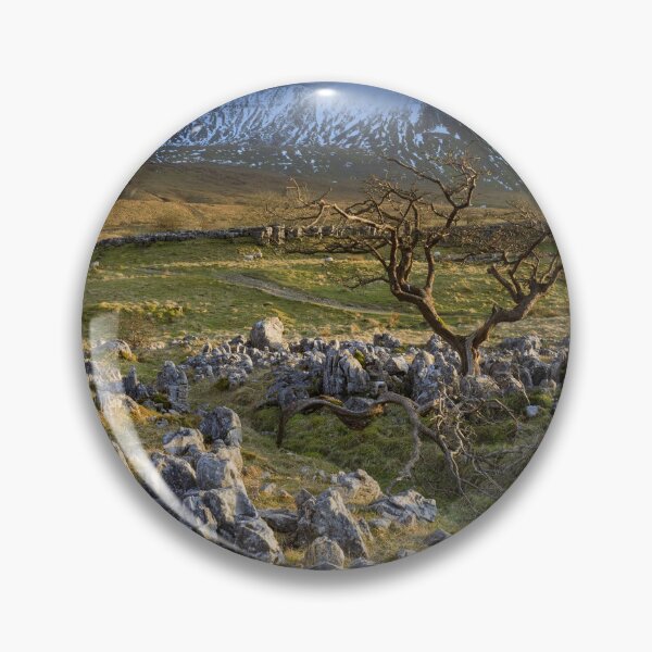 Item preview, Hawthorn tree at Southerscales designed and sold by bitm2007.