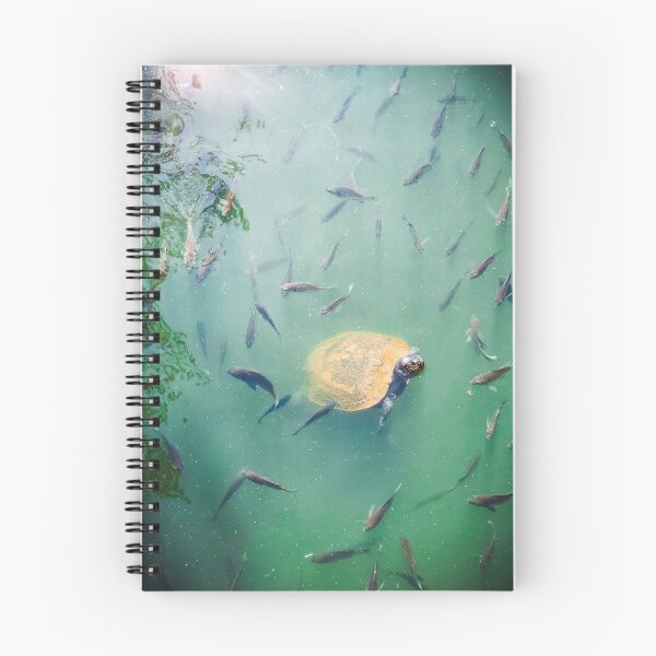 Item preview, Turtle designed and sold by Erika Thomas.